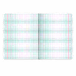 Тетрадь 24 л. BRAUBERG клетка, обложка картон Цена за 5шт.