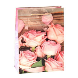 Цена за 12 шт. Пакет подарочный 18х23х9 / 152-1 /уп 12/1200/ микс - Галеонтрейд фото 5