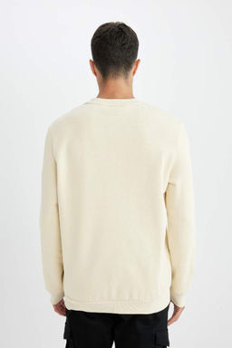 Толстый свитшот обычного кроя с круглым вырезом - Defacto фото 6