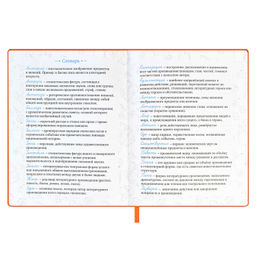 Читательский дневник арт. 59028 / 15 ЛЕСНЫЕ ЗВЕРЯТА - Феникс+ фото 17