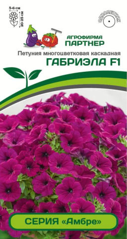 Петуния Амбре Габриэла каскадная фиолетовая