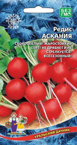 Редис АСКАНИЯ  Скороспелый, жаростойкий сорт! Не дрябнет и не стрелкуется! Всесезонный!