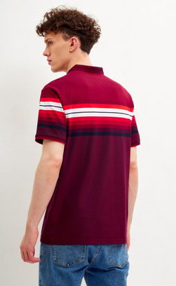 Футболка-поло мужская в полоску F311-07-601 бордовая