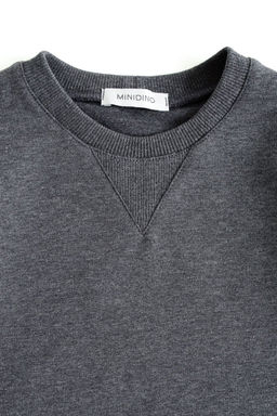 Свитшот Энди MINIDINO