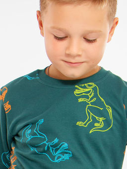 Кофта для мальчика Bonito