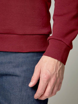 Толстовка мужская арт. 05198 - F5 фото 9