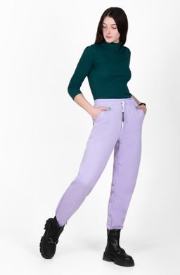 Брюки Тревел Б-47 (42-56) футер 3-х нитка начес - Лотос фото 5