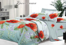 Абсолют - Эльф фото 39