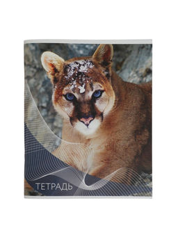 Набор тетрадей, 96 листов в линейку, Calligrata «Дикие кошки», серые листы, 4 штуки