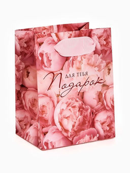 Цена за 4 шт. Пакет ламинированный «Подарок для тебя», 9 × 12 × 6.5 см