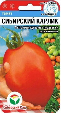 Сибирский карлик томат 20шт (сс)