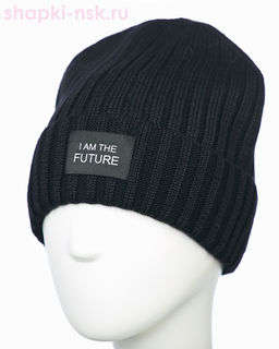 117/FL SHM Колпак мужской флис (58-60)