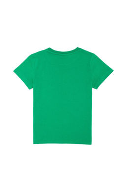 Детская зеленая футболка с круглым вырезом Неожиданная скидка в корзине - U.s. polo assn фото 3