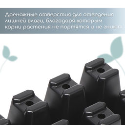 Цена за 2 шт. Кассета для рассады, 10 ячеек по 100 мл, набор 5 шт., чёрная - Simaland фото 7