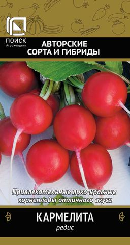 Редис Кармелита(А) (ЦВ) 3гр.
