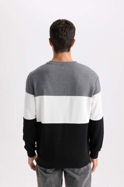 Жаккардовый свитшот стандартного кроя с круглым вырезом - Defacto фото 6