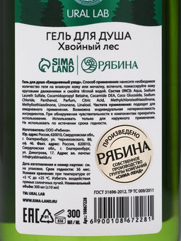 Новогодний подарочный набор косметики Bright Christmas night: гель для душа 300 мл и соль для ванны 200 мл, URAL LAB