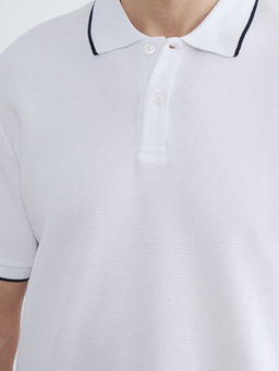 Polo Yaka Erkek Ti??rt