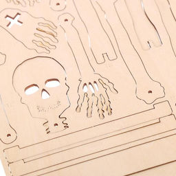 Набор для опытов Строение человека, 10 обучающих карточек - Эврики фото 5