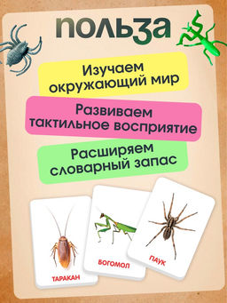 Развивающий набор с карточками Мир насекомых, по методике Домана - Iq-zabiaka фото 8