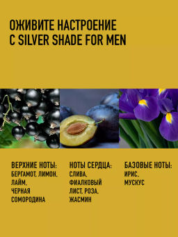 AJMAL SILVER SHADE m EDP 100 ml M,