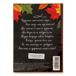 Цена за 2 шт. Фотоальбом 36 фото 10×15 см «Школьные годы чудесные», в мягкой обложке