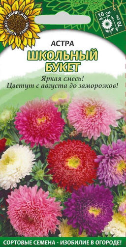 Школьный букет астра 0,2гр (ссс)