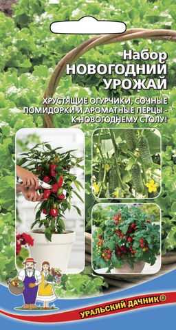 Набор комнатных овощей НОВОГОДНИЙ УРОЖАЙ