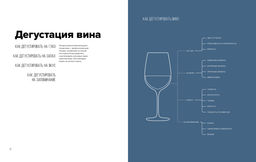 Вино. Практический путеводитель. Пакетт М., Хэммек Дж. - Колибри фото 7