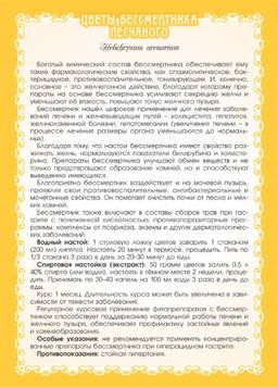 Бессмертник песчаный (цветы) - Мариславна фото 3