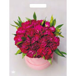 Цена за 50 шт. Пакет Букет пионов, полиэтиленовый, с вырубной ручкой, 31?40 см, 60 мкм