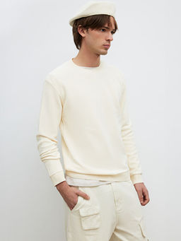 Bisiklet Yaka Erkek Triko Kazak