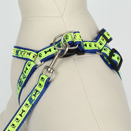 Комплект Косточки и лапки светоотражающий, поводок 120 х 1,5 см, ОГ 36-52 см, синий - Пижон фото 2