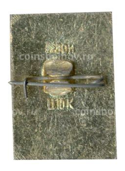 Значок Кострома