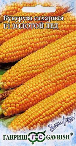 Золотой лед кукуруза F1 5г (г)