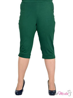 Бриджи Модель №1701 размеры 44-84