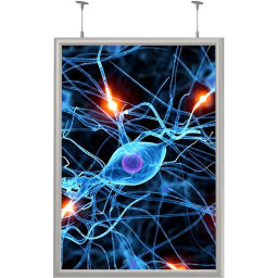 Панель световая Frame LED 1стор тросы А3+(327х450)раз.пл.297х420 дерев.к