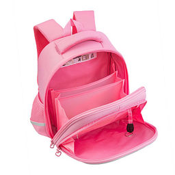 RAz-686-2 Рюкзак школьный с картхолдером на держателе - Grizzly фото 4