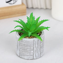 Цветочная композиция Кактус / WER-22 /уп 12/192/ микс - Галеонтрейд фото 24