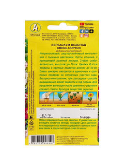 Набор семян Вербаскум "Водопад", 5 шт.