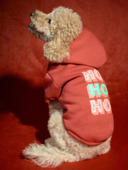 Худи для питомца с принтом / Zarina