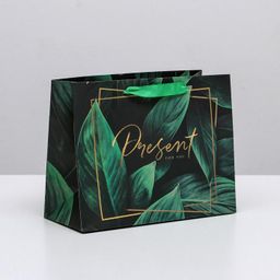 Цена за 2 шт. Пакет подарочный ламинированный, упаковка, Present for you, MS 23×18×10 см