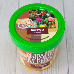 Набор для выращивания "Кактусы"