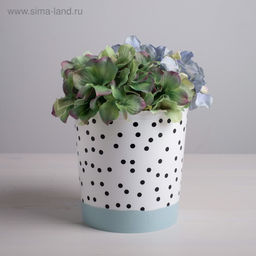 Цена за 2 шт. Кашпо для цветов «Чёрно - белый стиль», 1.6 л, d=14 см, h=14 см, пластиковое