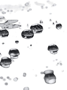 Ветровка мужская