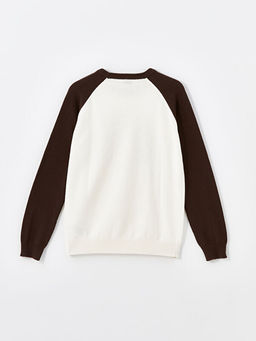 Bisiklet Yaka Bask?l? Uzun Kollu Erkek ?ocuk Triko Kazak - Waikiki фото 2