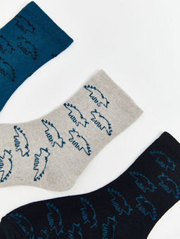 Desenli Erkek ?ocuk Patik ?orap 3l?