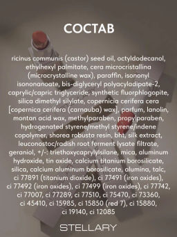 Stellary Помада для губ Устойчивая RICH NUDE тон 12 toffe cream  фото 7