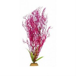 Растение Plant 031 Горгонария сирен. 10 см PLANT 031/10
