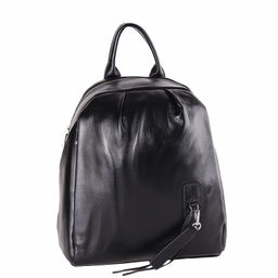 Рюкзак 5519S black S-Style